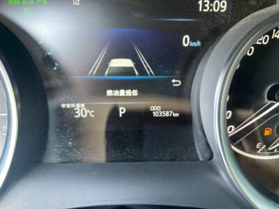 TOYOTA 2020 Camry 尊爵 2.5L