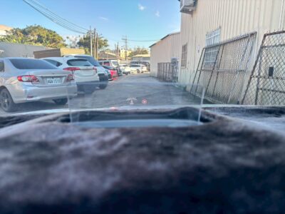 Ford 2021 Focus Active EcoBoost 任性版 1.5L