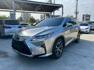 LEXUS 2019 RX300 2.0L 旗艦版