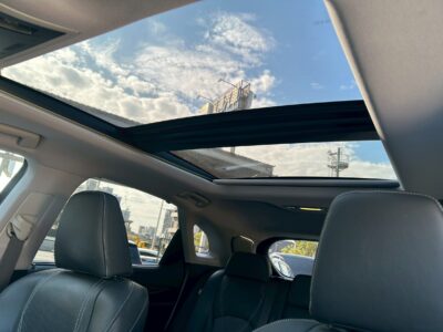 LEXUS 2019 RX300 2.0L 旗艦版