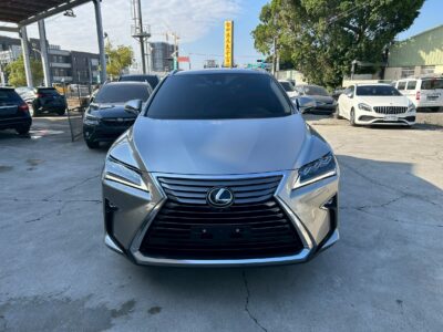 LEXUS 2019 RX300 2.0L 旗艦版
