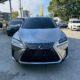 LEXUS 2019 RX300 2.0L 旗艦版
