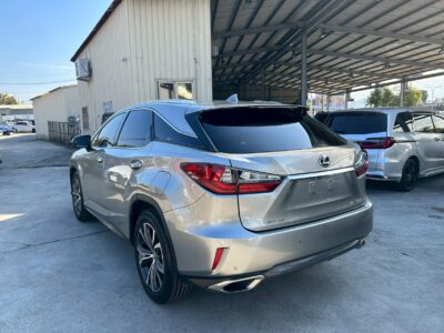 LEXUS 2019 RX300 2.0L 旗艦版